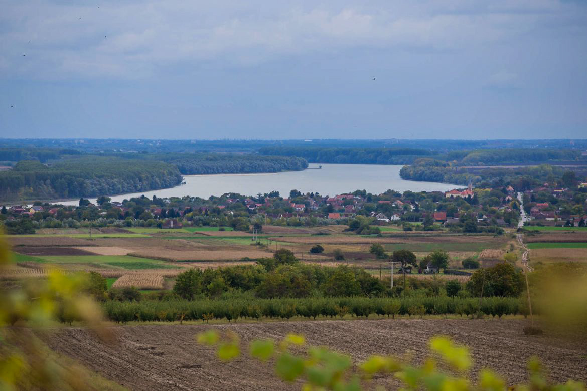 Jakovac 2