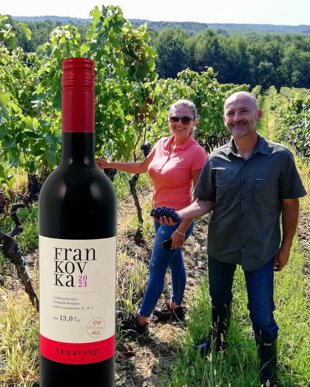 Enosophia Classic Frankovka