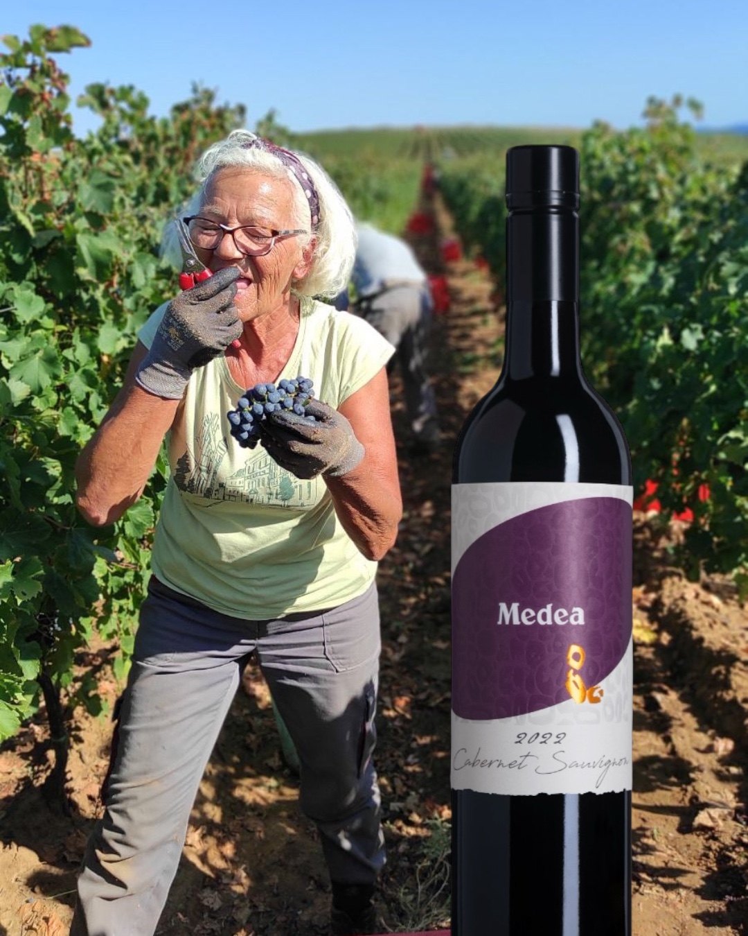 Medea Cabernet Sauvignon